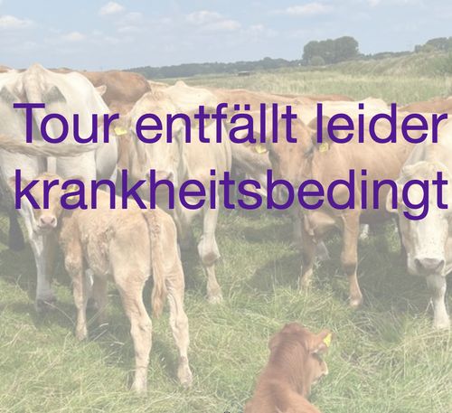Zum Melkhus in Ardesdorf