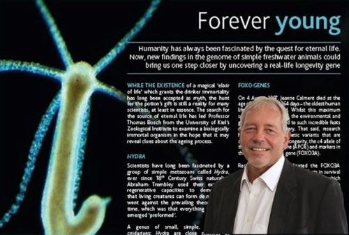 Screenshot mit Prof. Bosch auf seiner Webseite Bosch-lab.de