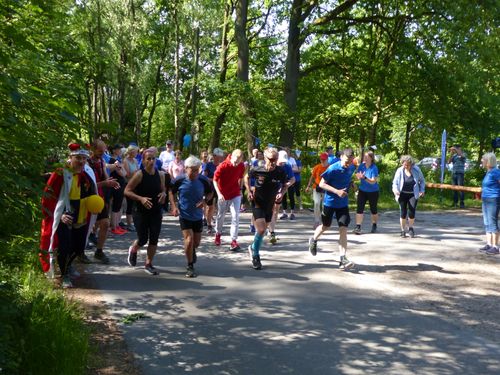 Spendenlauf des Lauftreff Wedel e.V. am 22. Juni 2025 im Klövensteen