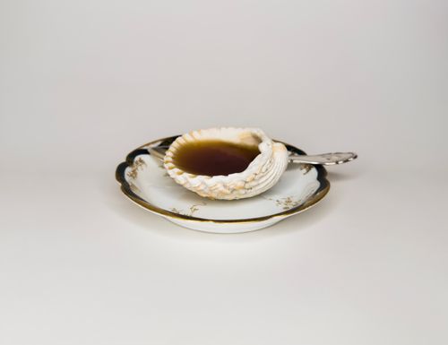 Ausstellungseröffnung "Die Ordnung der Dinge"