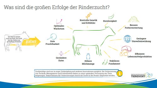 Tierzucht – Gestern – Heute - Morgen