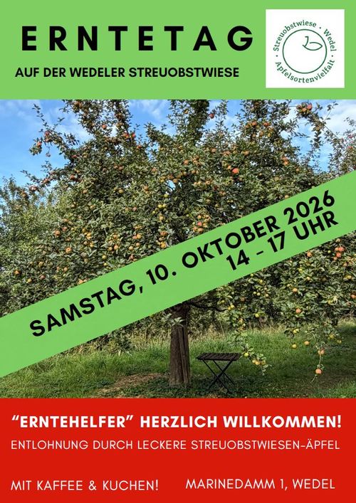 Öffentlicher Erntetag auf der Streuobstwiese Wedel