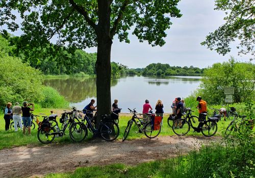 Picknick am Wollnysee